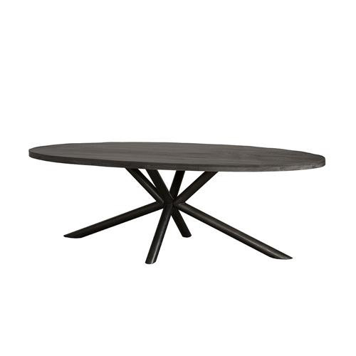 Selva Eettafel Ovaal 200cm – foto 2 – A-meubel