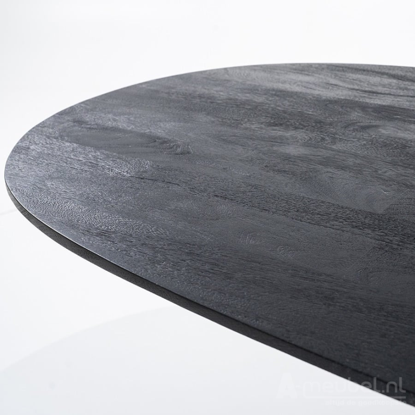 Eettafel Aron ovaal 300x110 - Zwart - 95673 300cm – foto 4 – A-meubel