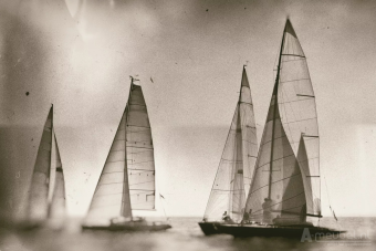 Sailing regatta on sea 60cm