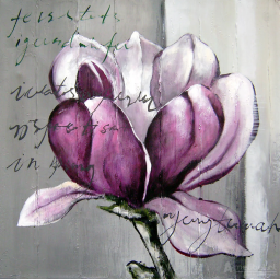 Magnolia Closed 60cm