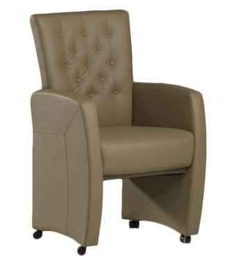 Eetkamerstoel Carina – ler eetkamerstoelen